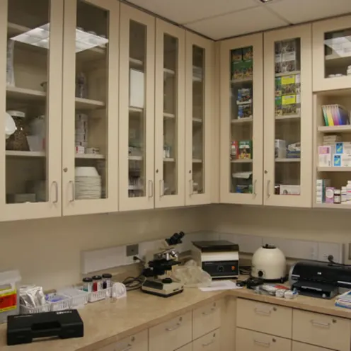 Montville Veterinary Group Lab